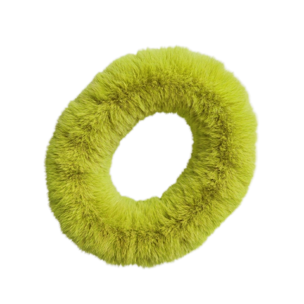 Decorative Torus